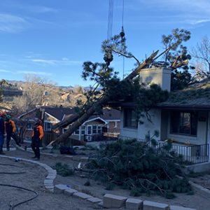 wind damage on a home